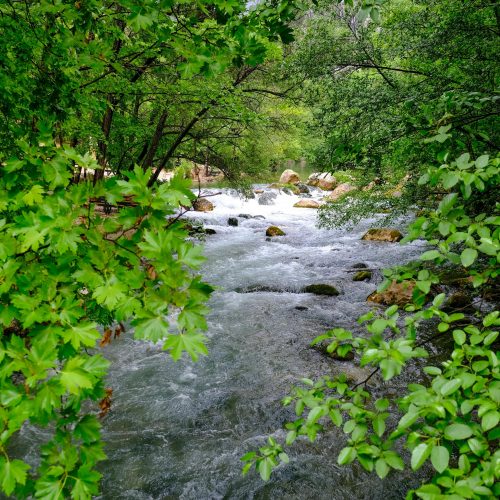 pexels-adem-albayrak-383796555-27684083 - Kopie