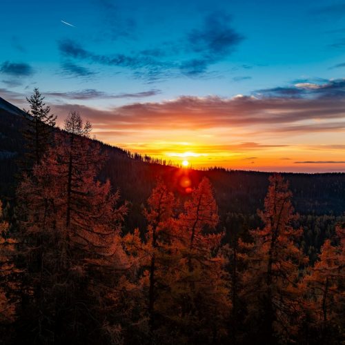 pexels-miroslav-glasa-2147620119-29678804 - Kopie