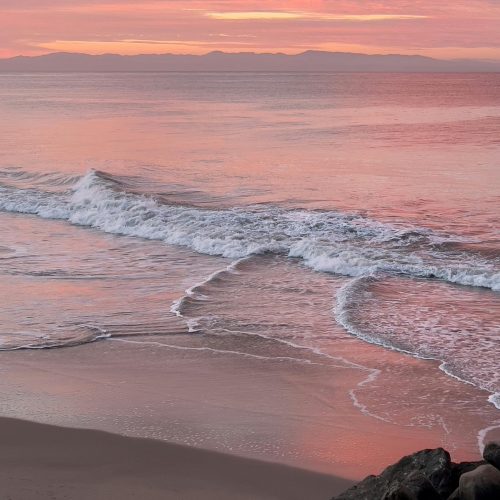 pexels-revlisajwinston-18963143 - Kopie